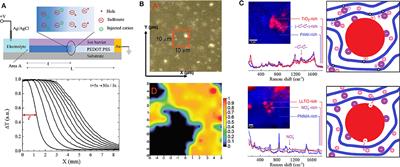 Mini-Review: Mixed Ionic–Electronic Charge Carrier Localization and Transport in Hybrid Organic–Inorganic Nanomaterials